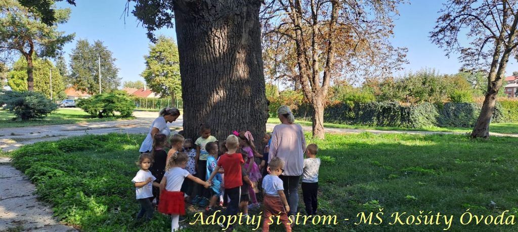 Adoptuj si strom MŠ Košúty2