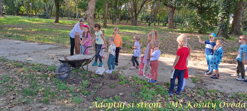 Adoptuj si strom MŠ Košúty3