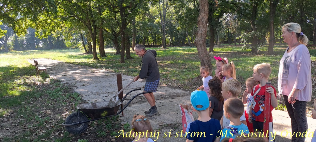 Adoptuj si strom MŠ Košúty6