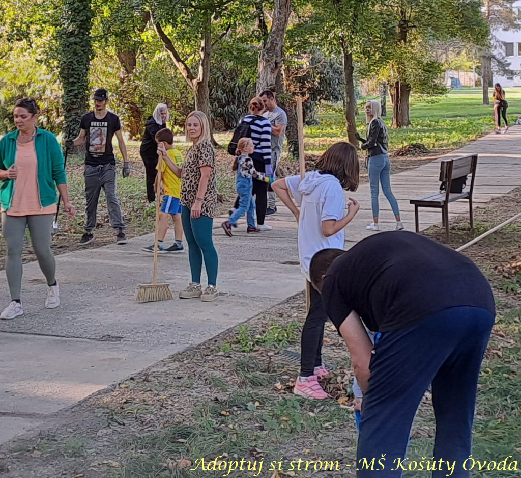 Adoptuj si strom MŠ Košúty9