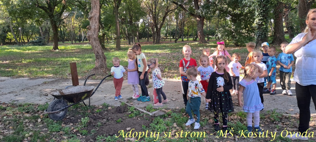 Adoptuj si strom MŠ Košúty17