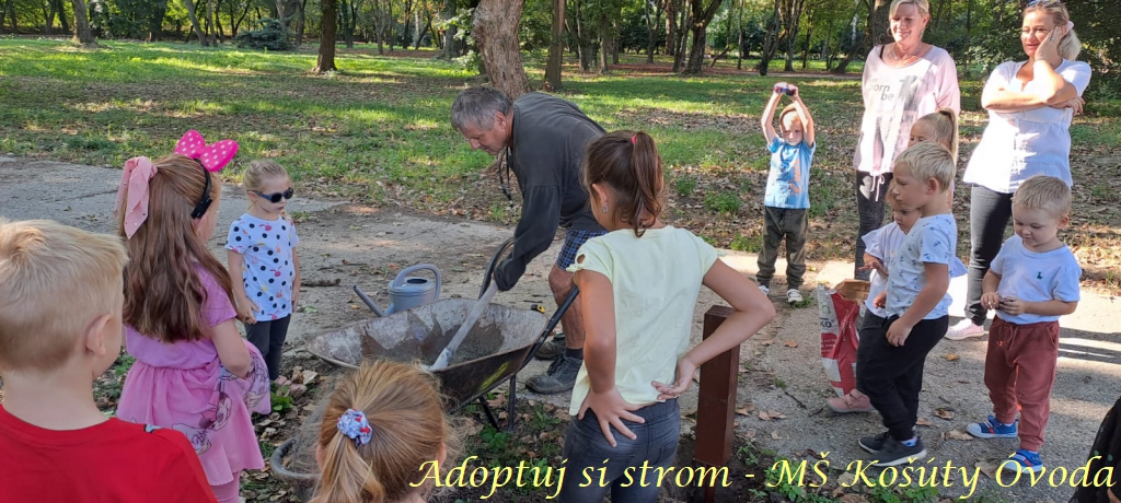 Adoptuj si strom MŠ Košúty19