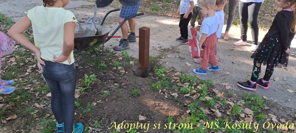 Adoptuj si strom MŠ Košúty26