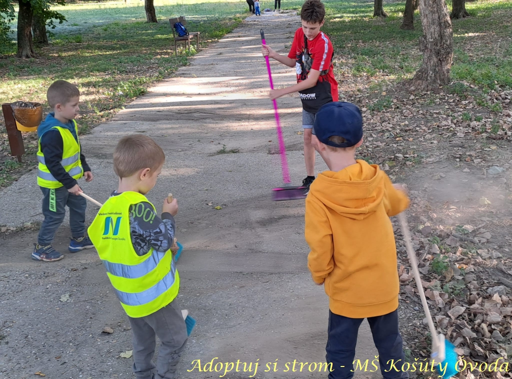 Adoptuj si strom MŠ Košúty31