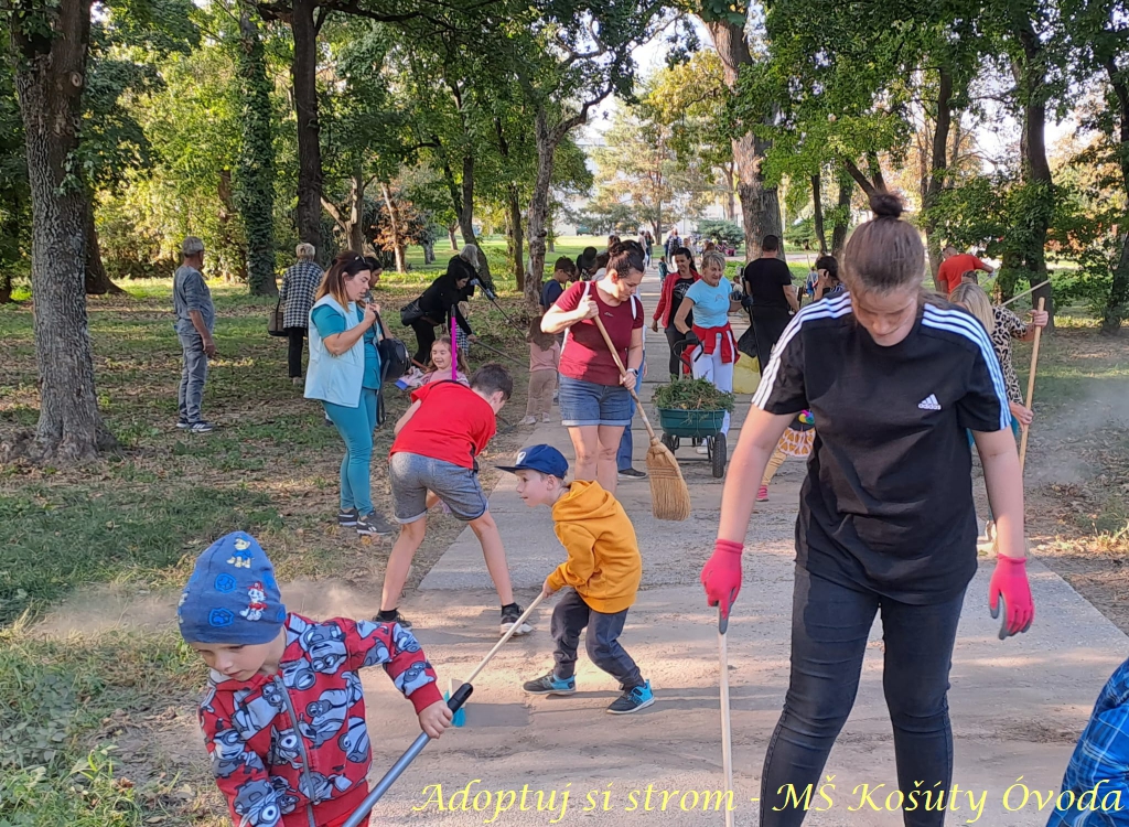 Adoptuj si strom MŠ Košúty37