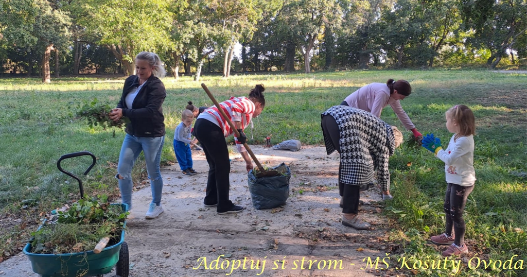 Adoptuj si strom MŠ Košúty43