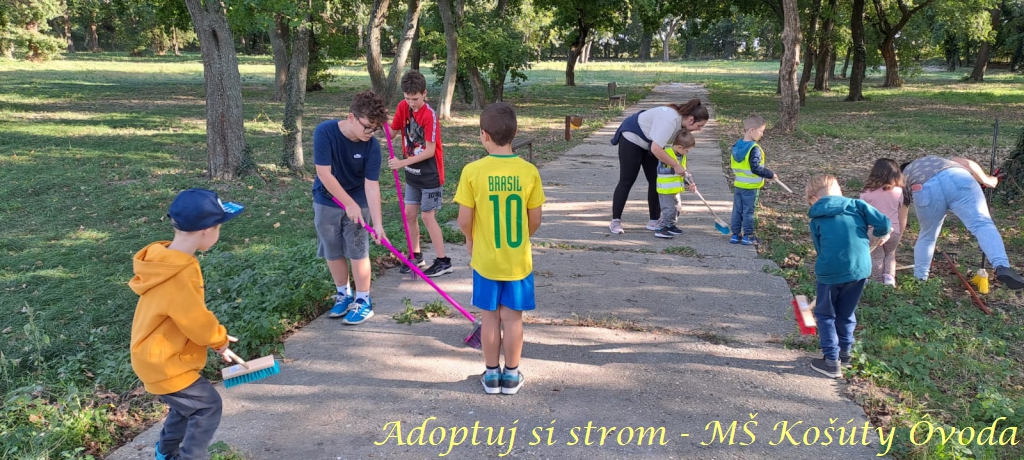 Adoptuj si strom MŠ Košúty46