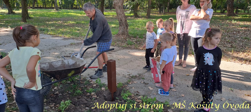 Adoptuj si strom MŠ Košúty61