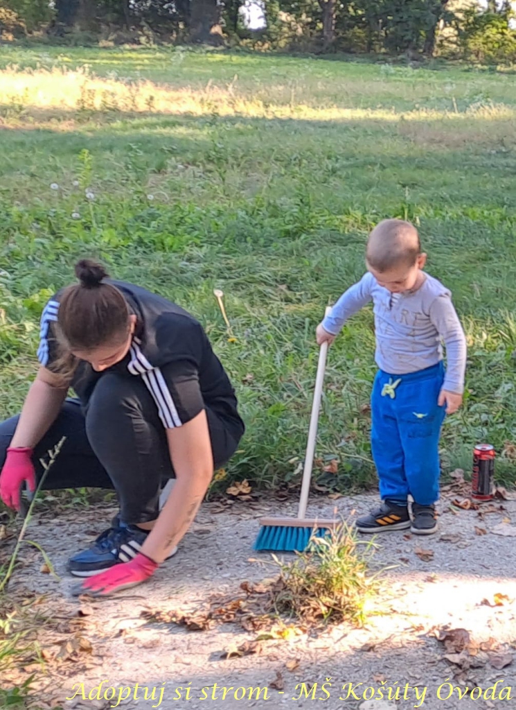 Adoptuj si strom MŠ Košúty63