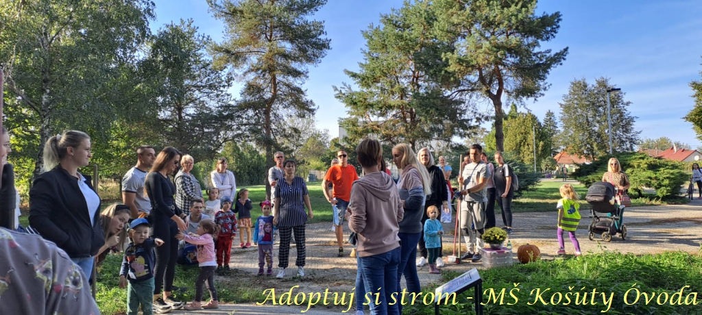 Adoptuj si strom MŠ Košúty65