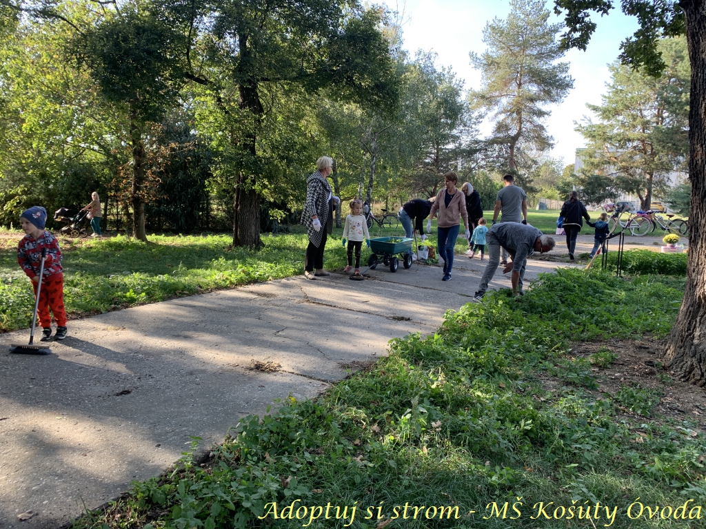 Adoptuj si strom MŠ Košúty83