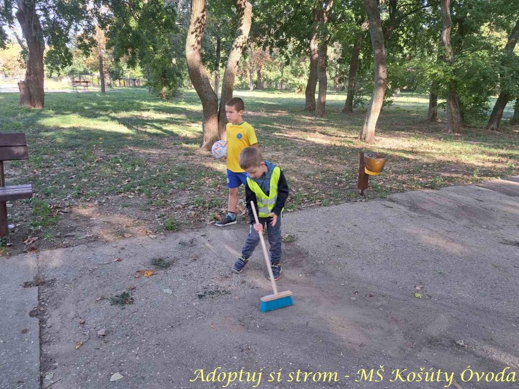 Adoptuj si strom MŠ Košúty297