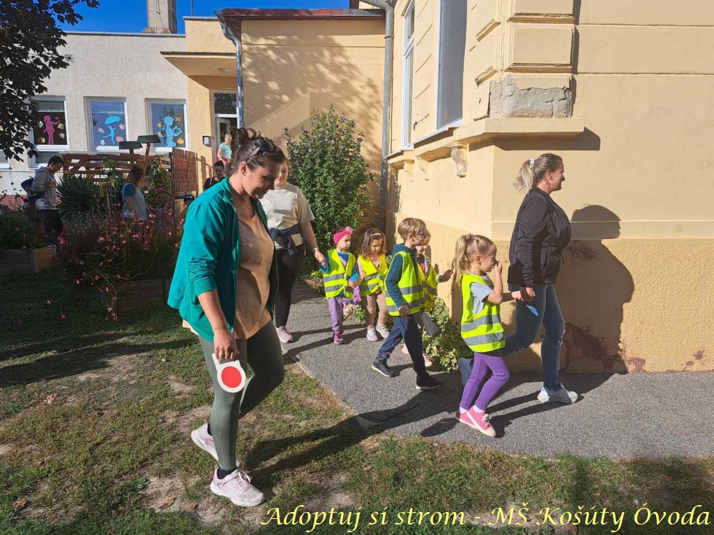 Adoptuj si strom MŠ Košúty298