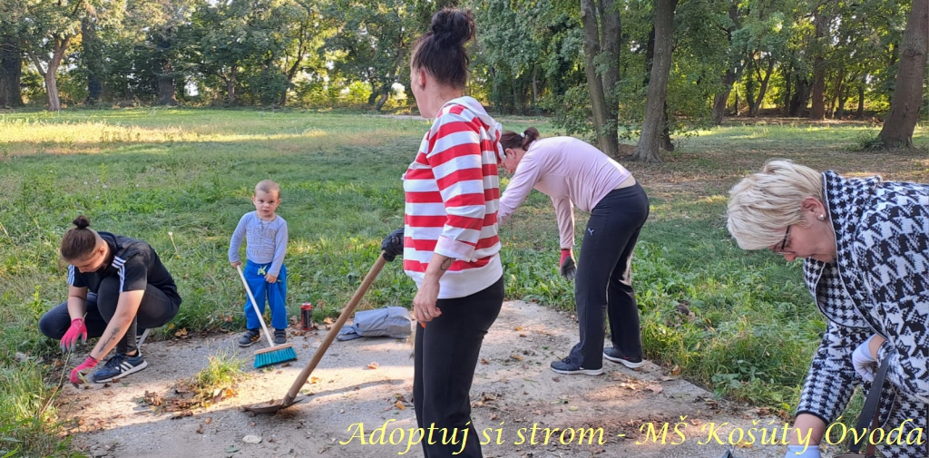 Adoptuj si strom MŠ Košúty322