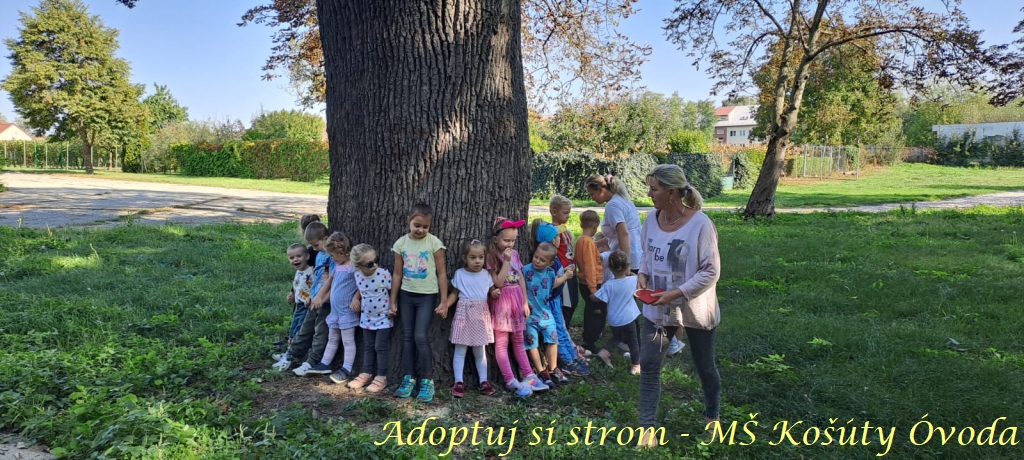 Adoptuj si strom MŠ Košúty351