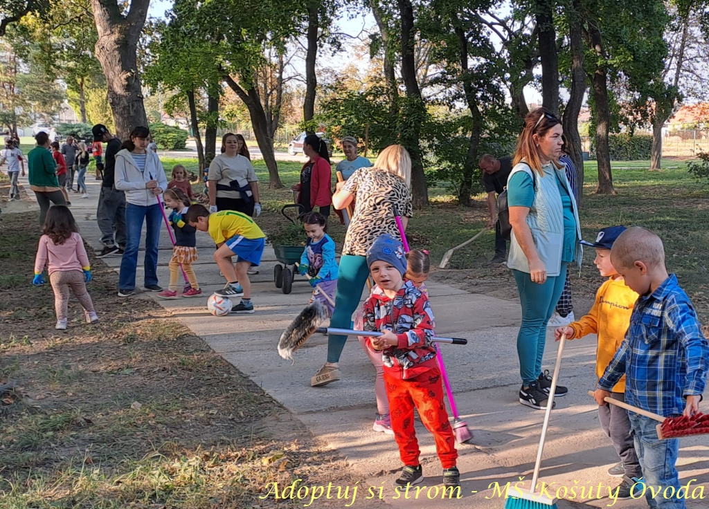 Adoptuj si strom MŠ Košúty352