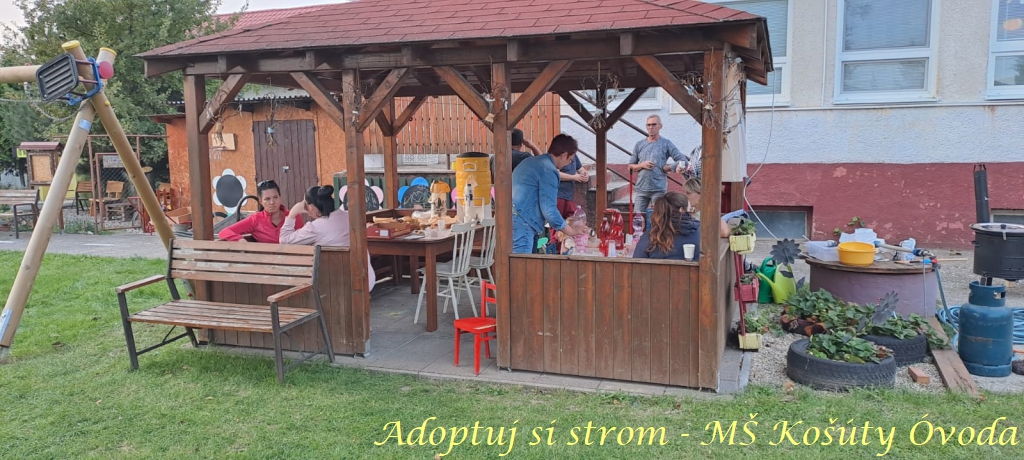 Adoptuj si strom MŠ Košúty353