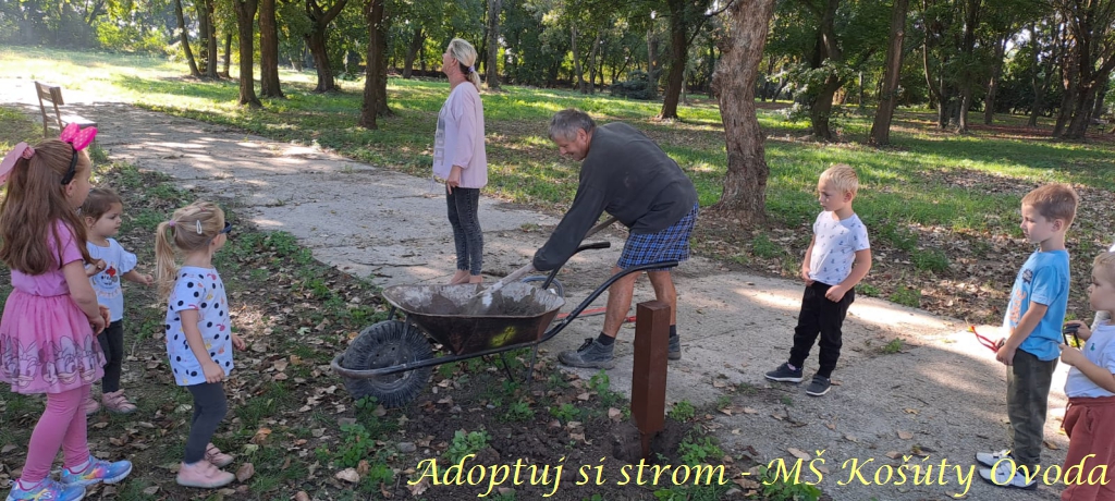 Adoptuj si strom MŠ Košúty367