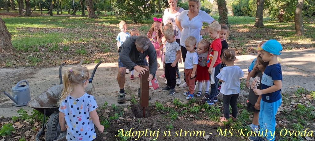 Adoptuj si strom MŠ Košúty370