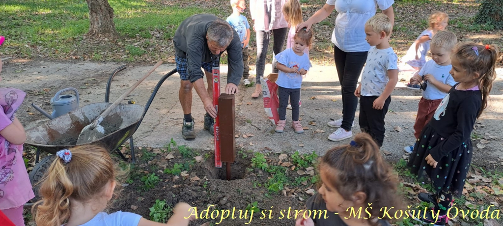 Adoptuj si strom MŠ Košúty379