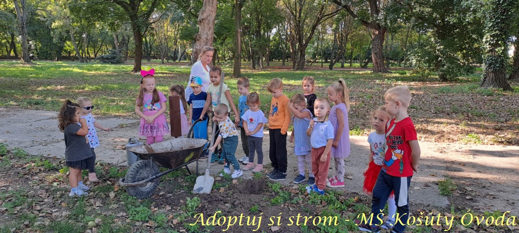 Adoptuj si strom MŠ Košúty389