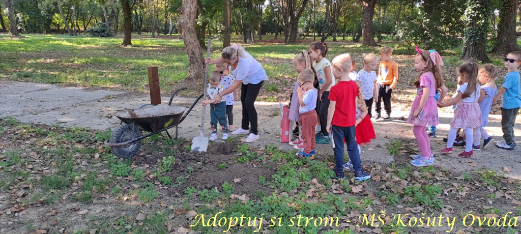 Adoptuj si strom MŠ Košúty403