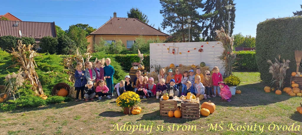 Adoptuj si strom MŠ Košúty404