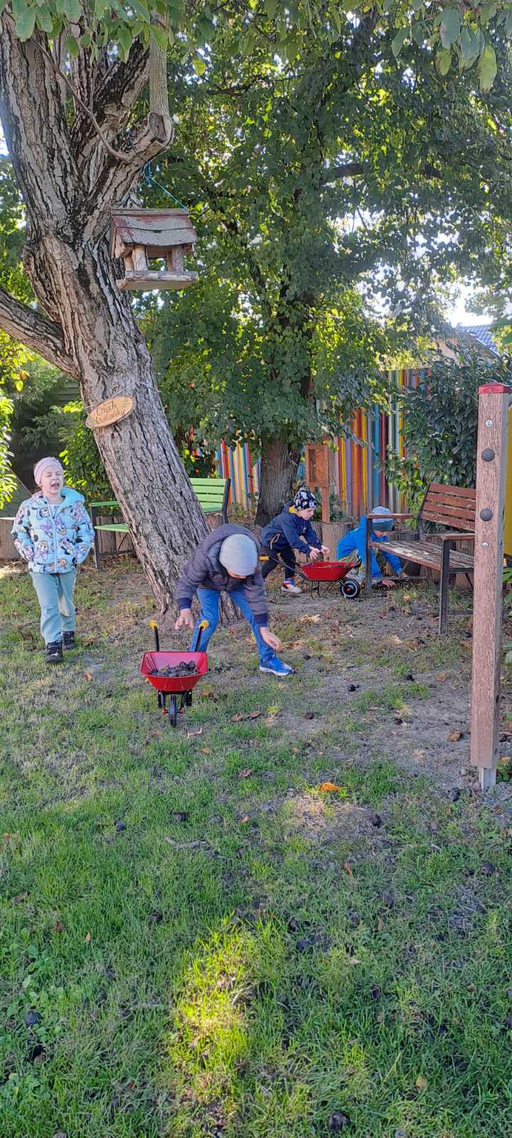 IMG-cb198263e47408dd0b01f1f872a2c3be-V