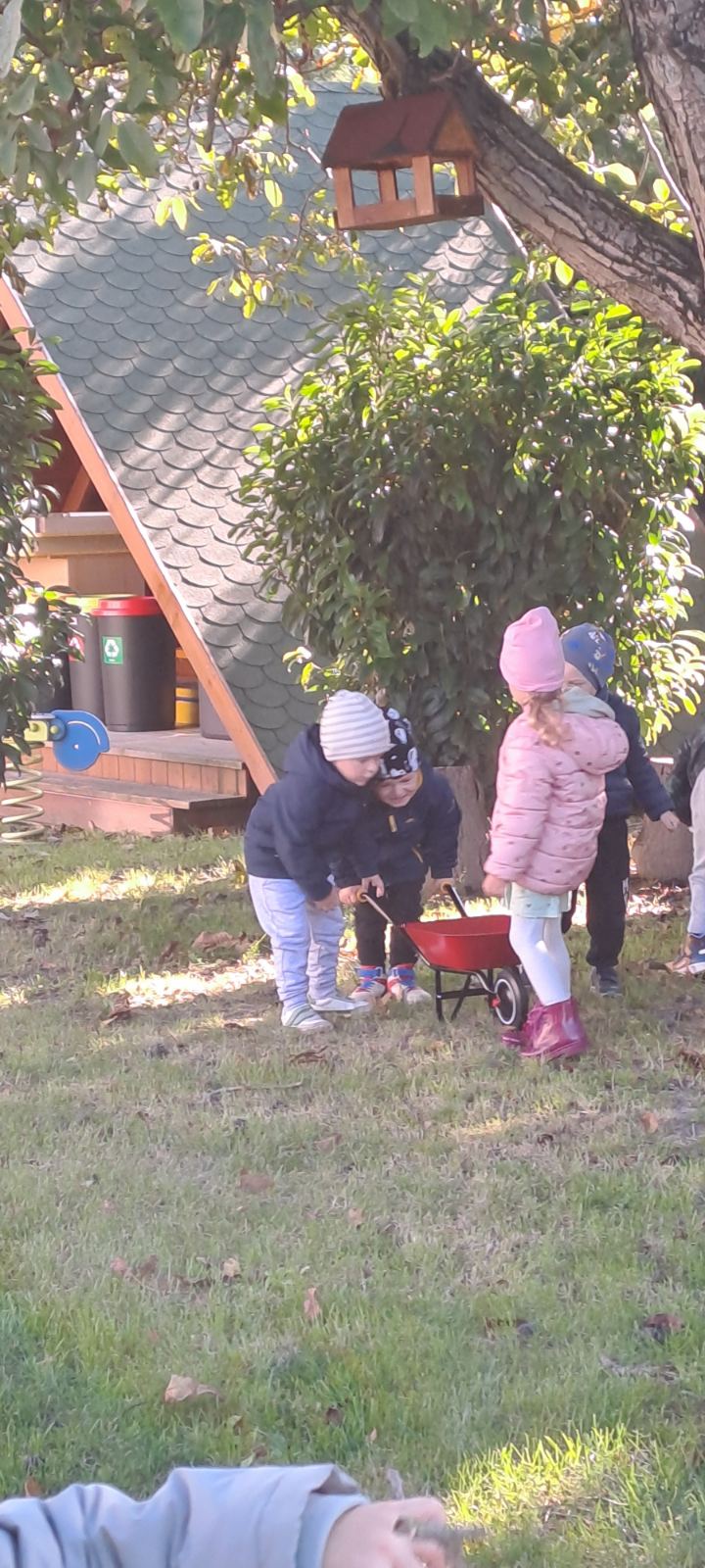 IMG-17dcc5668c4eb6dcfce0d25d976668fe-V