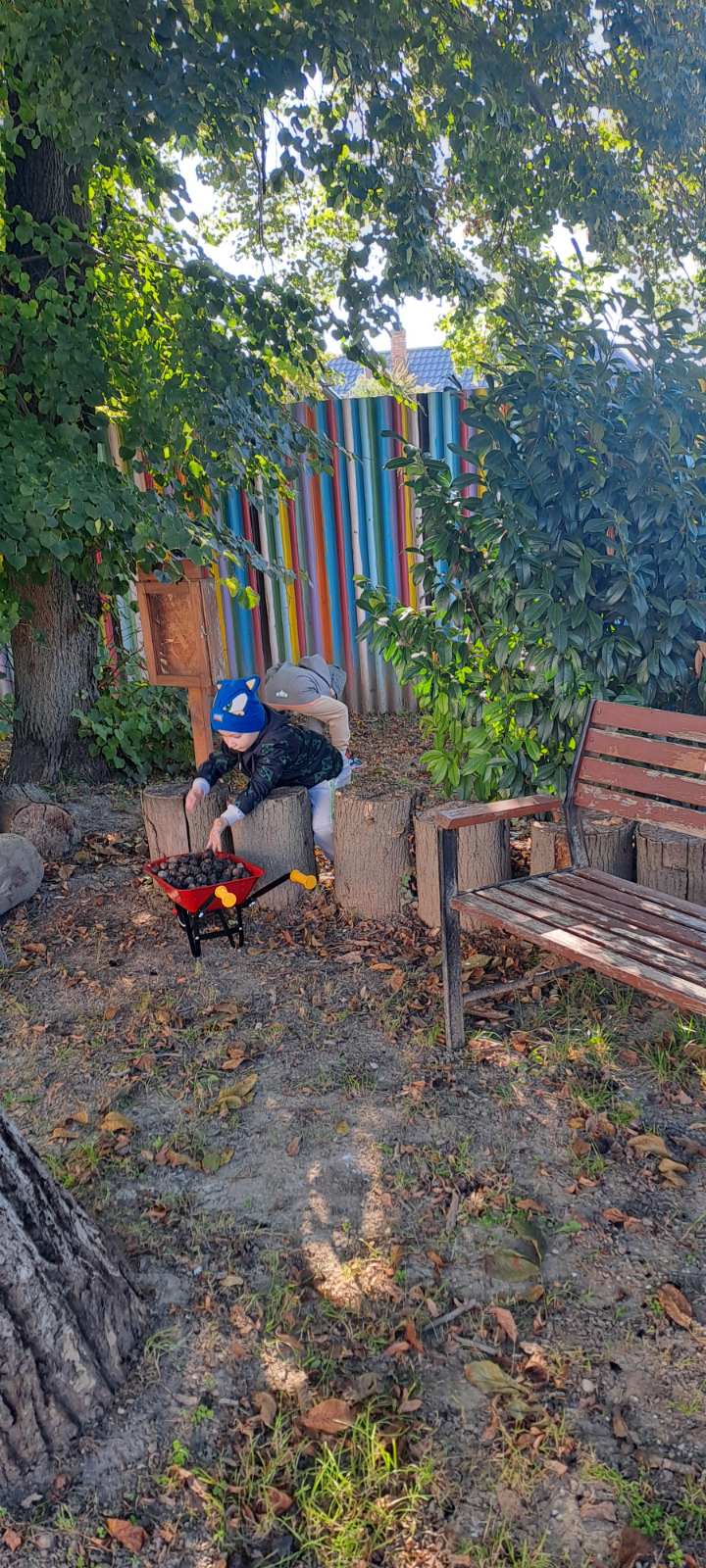 IMG-6d871bd2acfd8796791c4c526f891e79-V