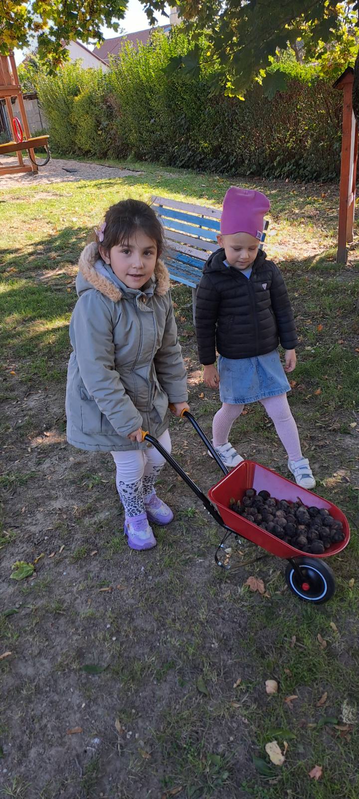 IMG-ef708895c947fb1f1d3b68de68ed9183-V