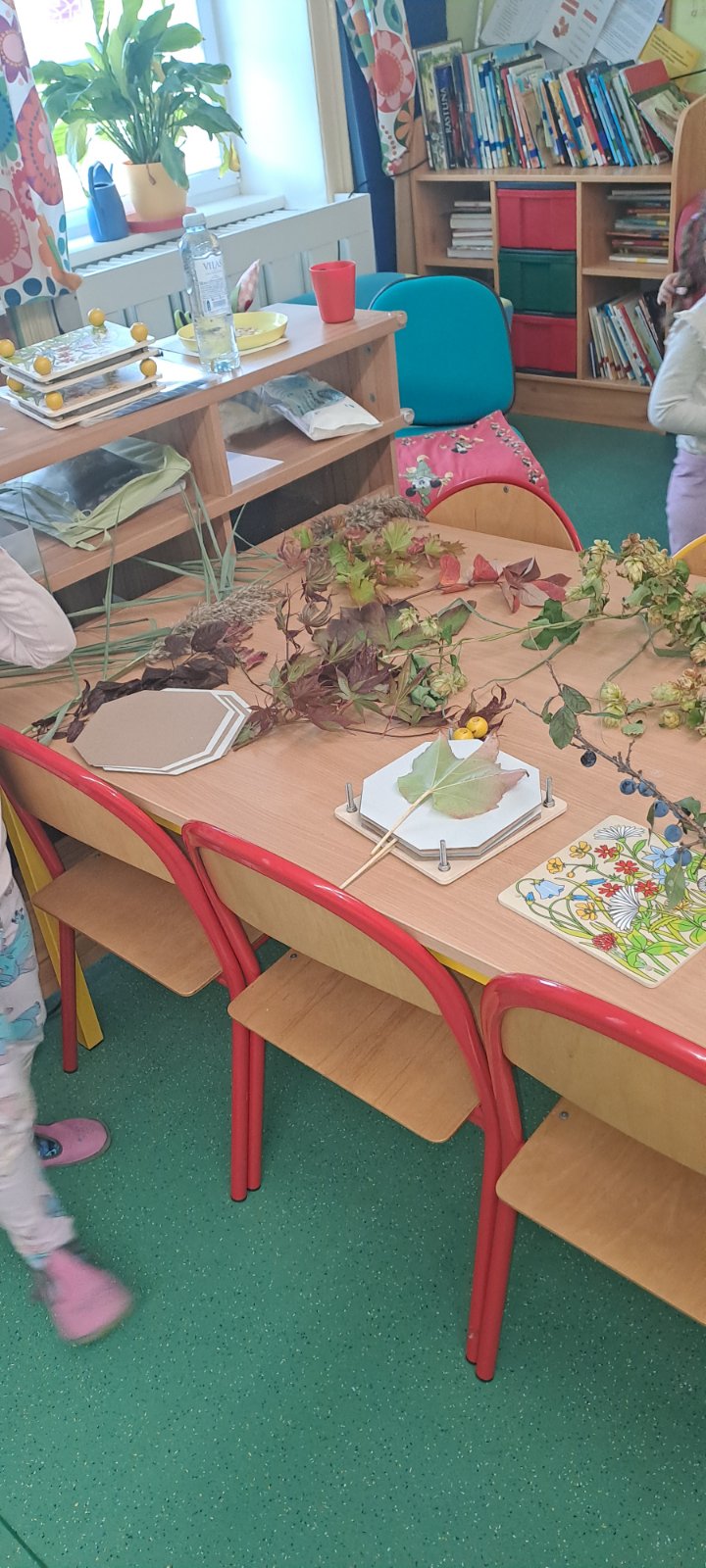 IMG-26b0e954743eb9d224133e3452172180-V