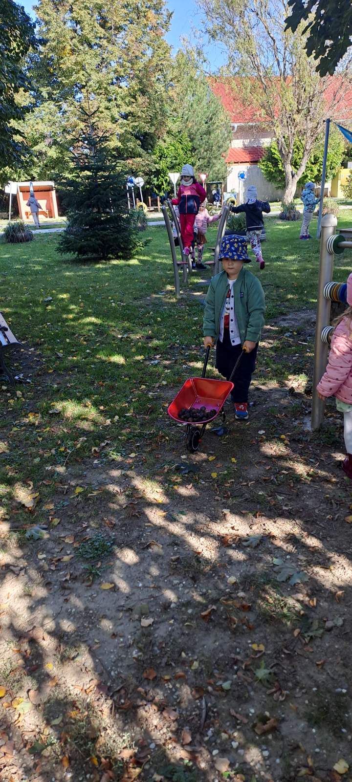 IMG-d4c12698352794c873ea5cdb11f40279-V