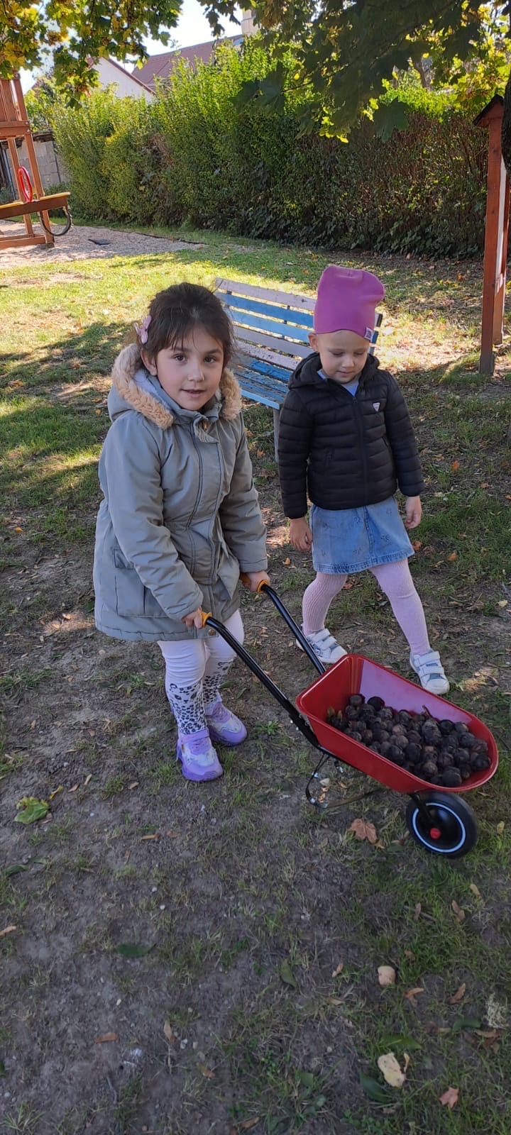 IMG-5ae4bcac01f3d6184348a68f647a8132-V