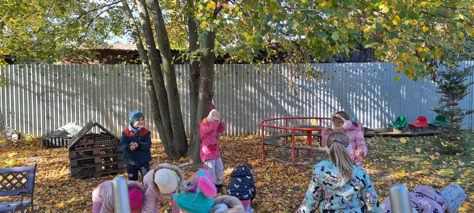 IMG-2078ca919fed972a3d1b334b6e6b11ff-V