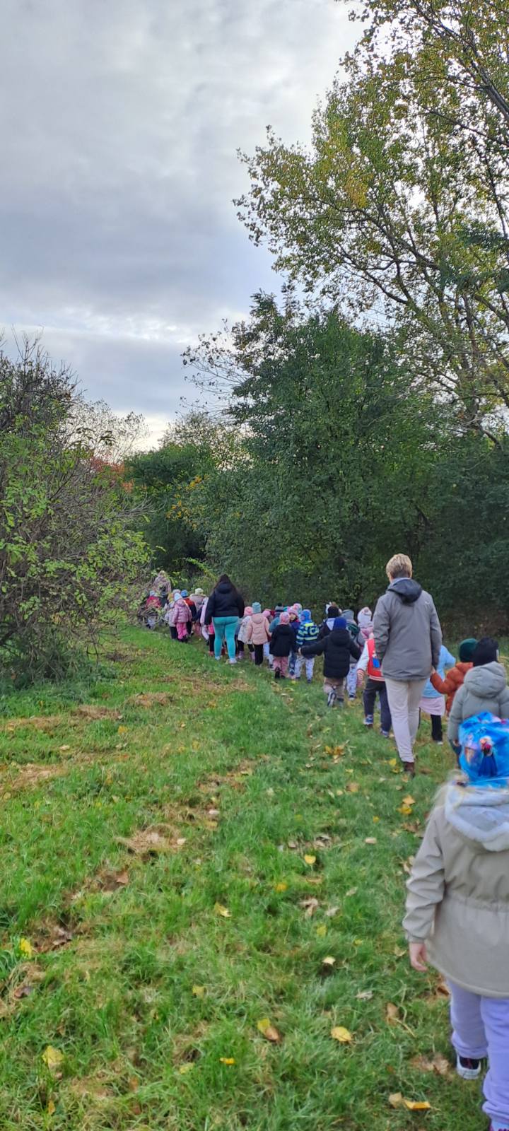 IMG-5cb7d4f37761d0ac4e69a0771c9f8c11-V