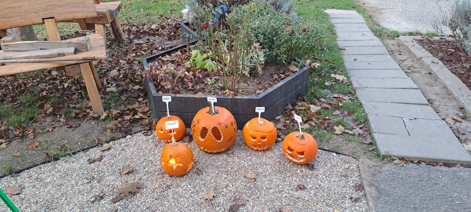 IMG-a203286fde31391218d057af8c405d85-V