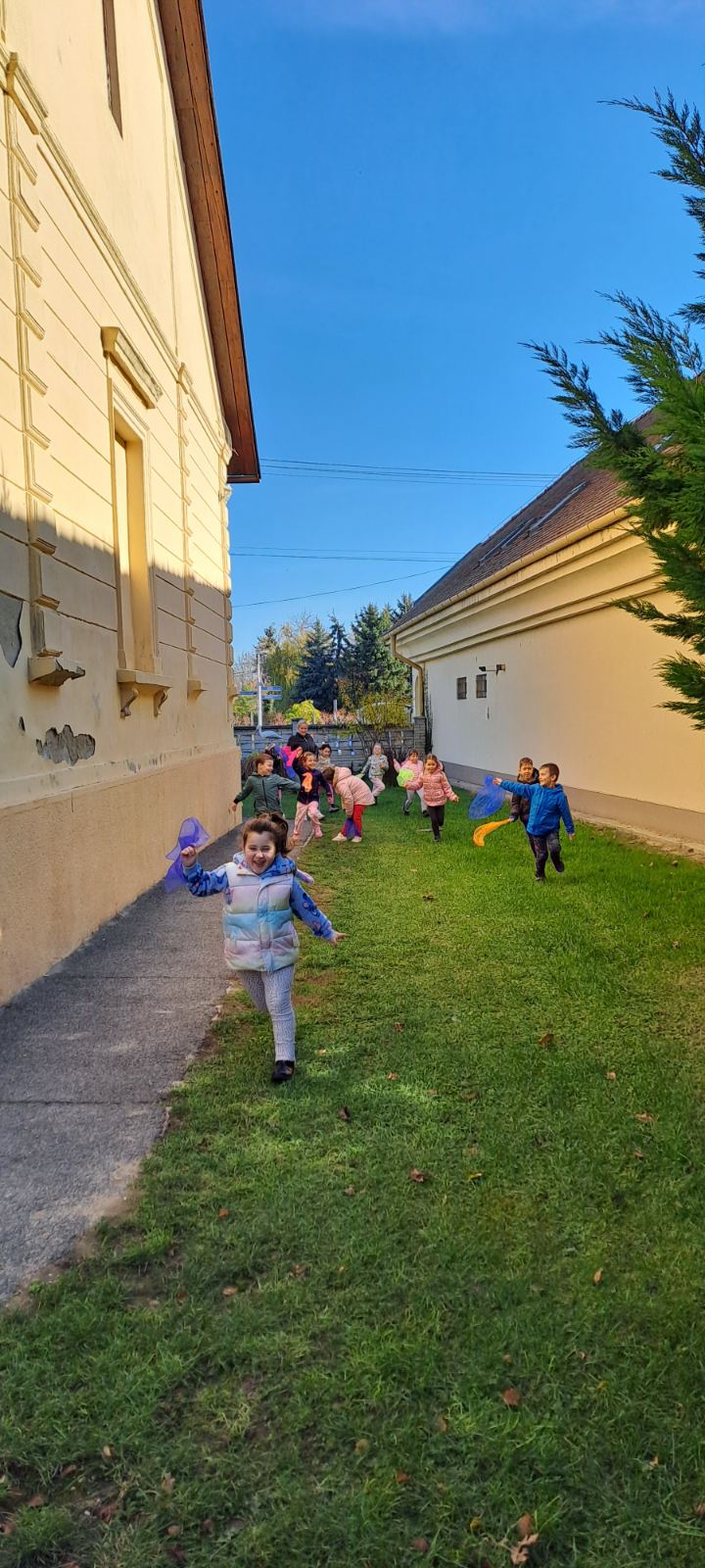 IMG-d313ed00353f905d23957a98b560d7fd-V