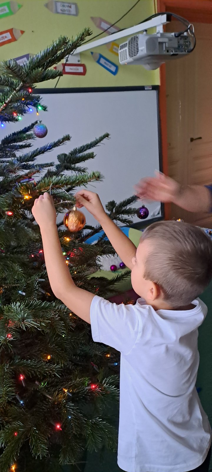 IMG-b4bb8d837fed6cb927aba4d29456ef12-V