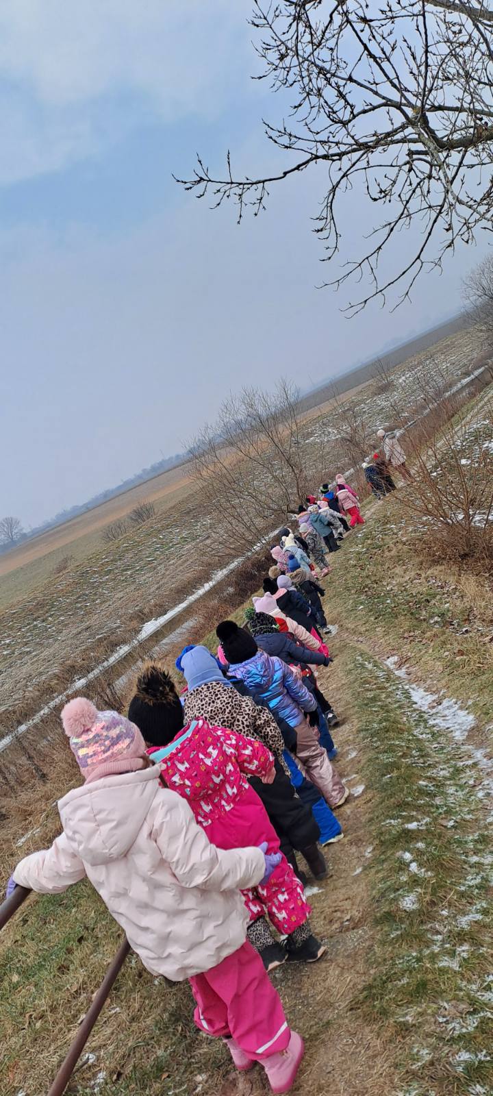 IMG-424a501745b5eee7fe425d25f8fbb37d-V