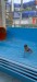 IMG-3ef242f8dbf9a7ad17ba71719eccb4d8-V