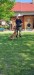 IMG-6cbaef7f0fcf344b299b7769810455a5-V