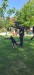 IMG-bf8c978d078be024258a921ac86db6ce-V