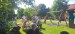 IMG-cec5ca15322c6d9a70212fa95398dbb1-V