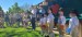 IMG-def32c92074288196efb6462f0a1d01a-V